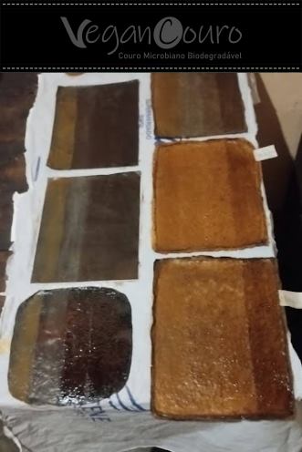 Bateria de testes químicos e físicos na celulose de Kombucha